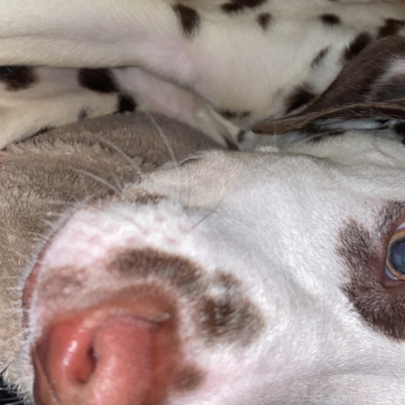 Back on posh.. starting up all new!!Miss you guys - Picture 4 of 7